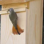 Ostoja Kamionki ギジツコ