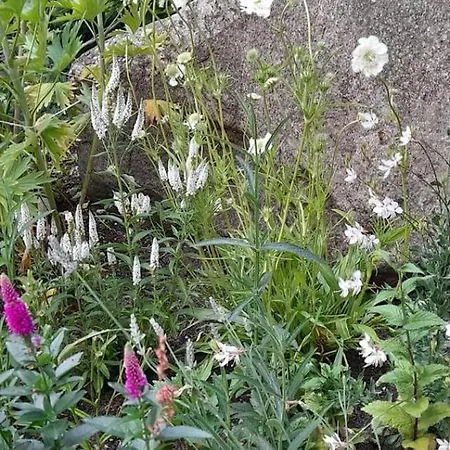 아파트 Ostoja Kamionki 기지크코