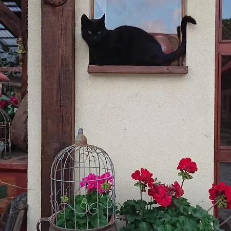 아파트 Ostoja Kamionki