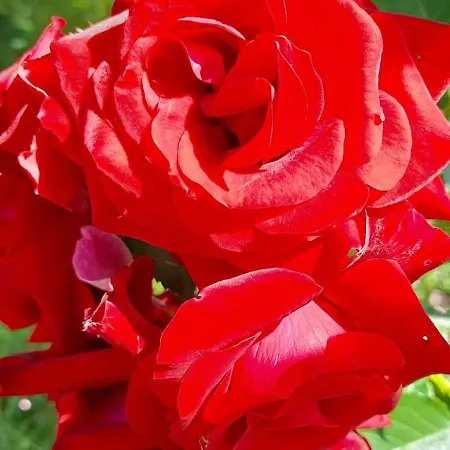 Ostoja Kamionki Appartamento *