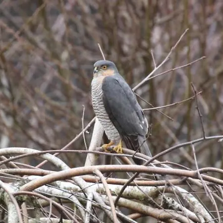 아파트 Ostoja Kamionki