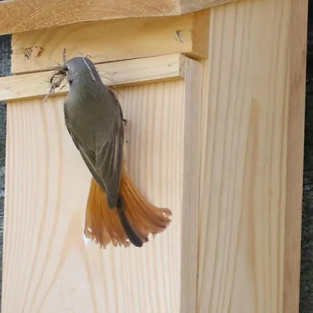 Ostoja Kamionki 기지크코