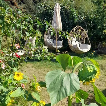 Ostoja Kamionki 아파트 기지크코