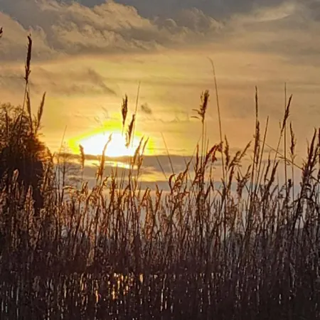 아파트 Ostoja Kamionki