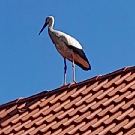 아파트 Ostoja Kamionki *